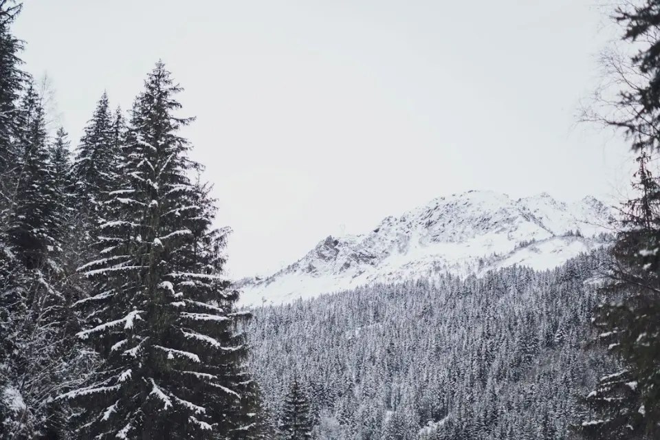 Vue de Les Contamines-Montjoie
