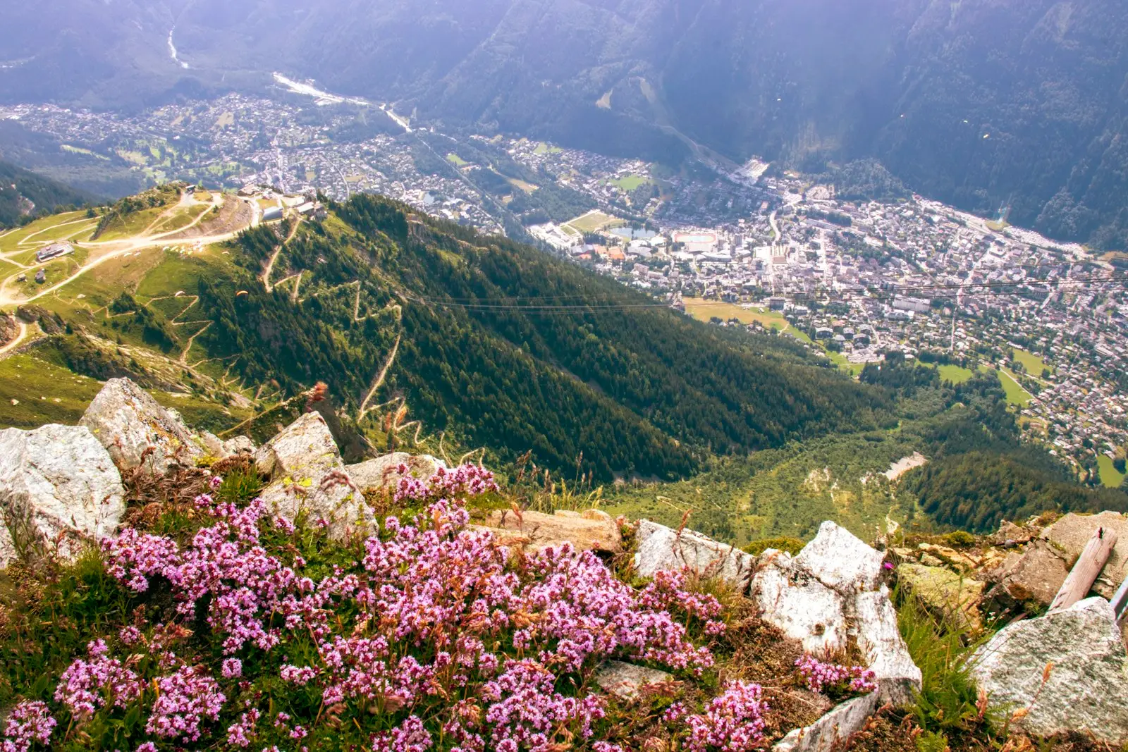 Alpages fleuris en été dans le pays du Mont-Blanc