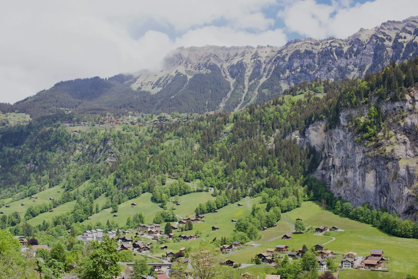 Vallée alpine verdoyante en été