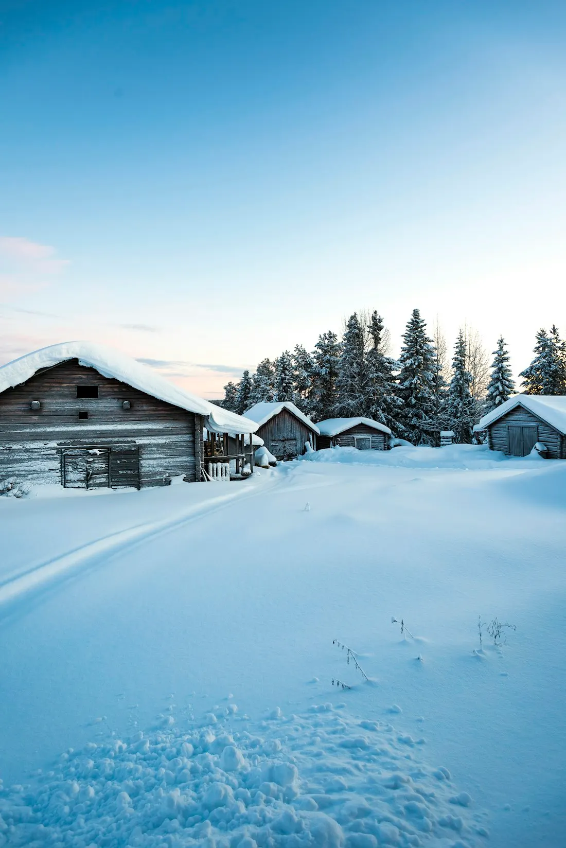 Rangée de chalets sous la neige en lisière de forêt